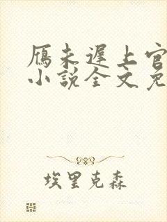 雁未迟上官穿越小说全文免费阅读封面