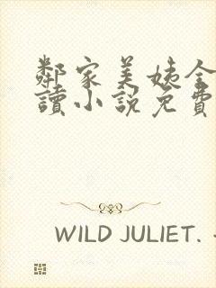 邻家美姨全文阅读小说免费