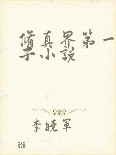 修真界第一病秧子小说