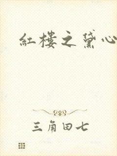 红楼之黛心如玉