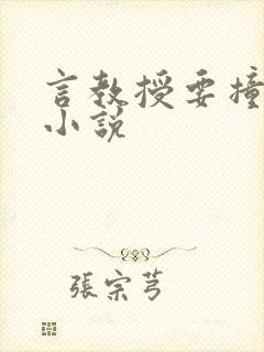 言教授要撞坏了小说