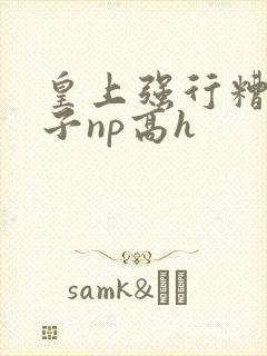 皇上强行糟蹋太子np高h