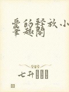 爱的释放小说 笔趣阁