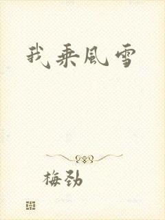 我乘风雪