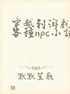 穿越到游戏里和各种npc小说