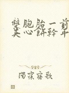 双胞胎一前一后夹心饼干年下