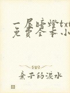 一屋暗灯txt免费全本小说电子书