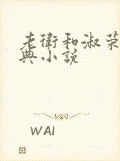 老卫和淑荣的经典小说