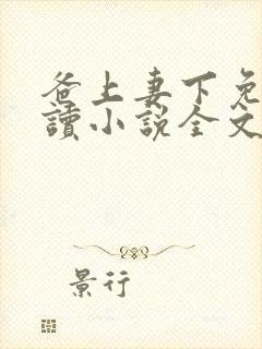 爸上妻下免费阅读小说全文封面