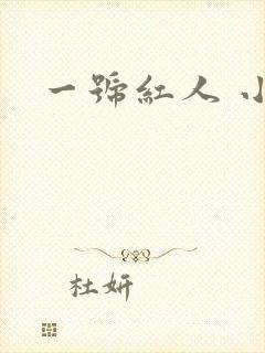 一号红人 小说