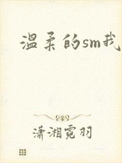温柔的sm我封面