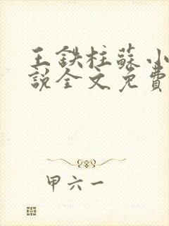 王铁柱苏小汐小说全文免费阅读最新章节封面