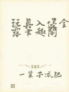 玩具入侵金银花露笔趣阁