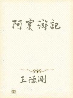 阿宾游记