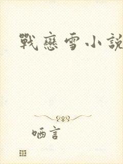 战恋雪小说封面