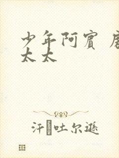 少年阿宾 房东太太封面