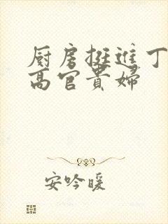 厨房挺进丁字裤高官贵妇