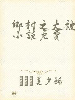 乡村之大被同眠小说免费