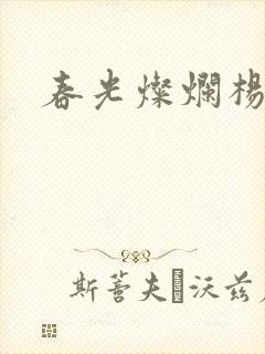 春光灿烂杨家将