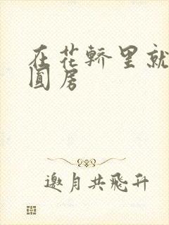 在花轿里就开始圆房封面