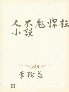 人不彪悍枉少年小说
