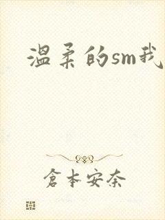 温柔的sm我封面