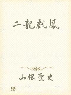 二龙戏凤