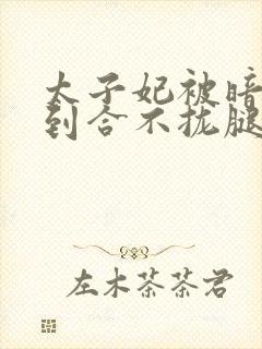 太子妃被暗卫C到合不拢腿