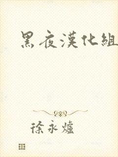 黑夜汉化组