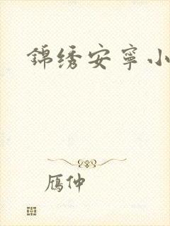 锦绣安宁小说封面