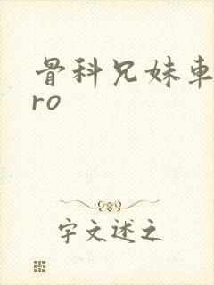 骨科兄妹车多pro