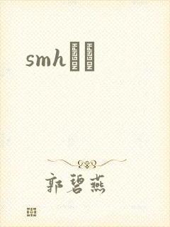 smhС˵封面