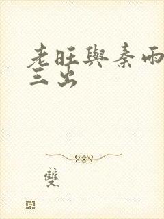 老旺与秦雨三进三出