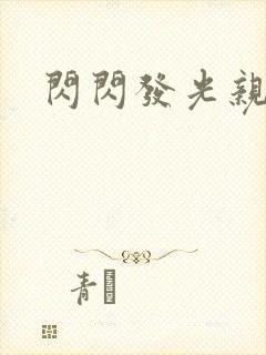 闪闪发光亲情会