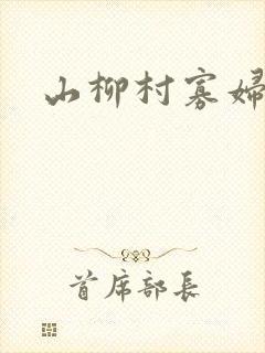 山柳村寡妇情史