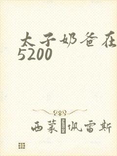 太子奶爸在花都5200封面