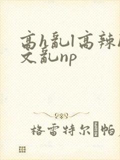高h乱l高辣h文乱np