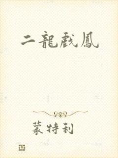 二龙戏凤