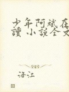 少年阿斌在线阅读 小说全文免费