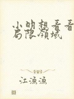 小明想看看永久局限领域封面