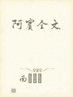 阿宾全文