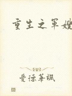 重生之军嫂封面