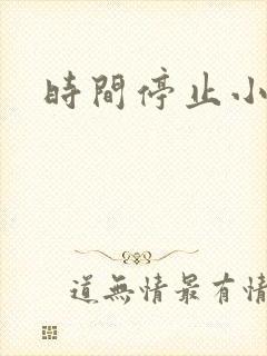 时间停止小说