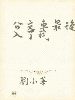 公交车最后一排入了我封面