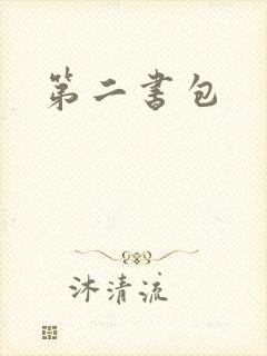 第二书包封面