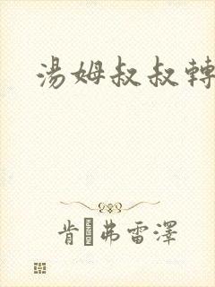 汤姆叔叔转接口