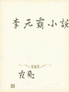 李元霸小说封面