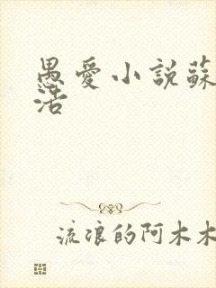 愚爱小说苏倩孙浩