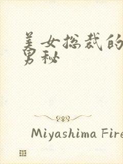 美女总裁的贴身男秘