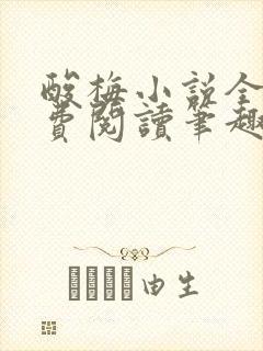 酸梅小说全文免费阅读笔趣阁封面